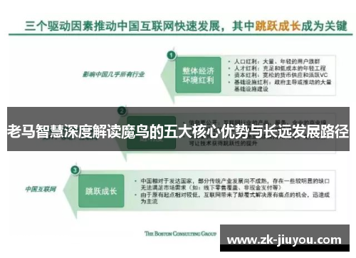 老马智慧深度解读魔鸟的五大核心优势与长远发展路径