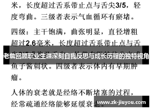 老詹回顾职业生涯深刻自我反思与成长历程的独特视角