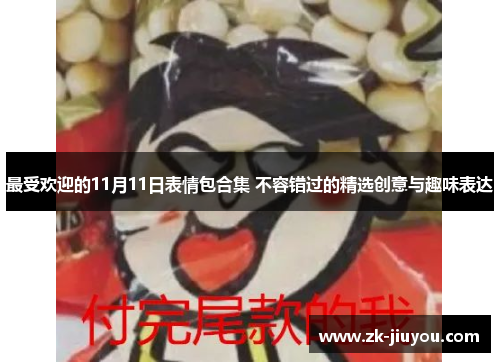 最受欢迎的11月11日表情包合集 不容错过的精选创意与趣味表达