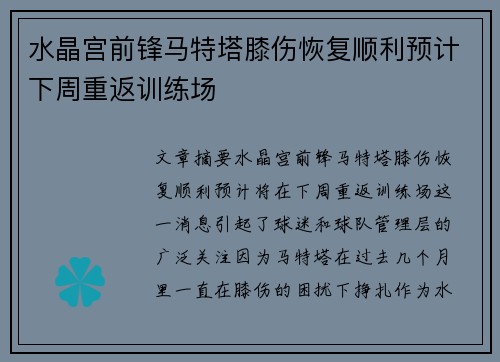 水晶宫前锋马特塔膝伤恢复顺利预计下周重返训练场